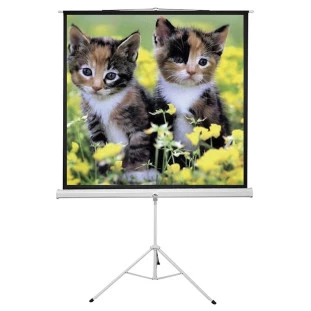 Tela De Projecao Com Tripe 180 X 180Cm Ttqs-100 Sumay - 1