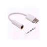 Adaptador Tipo C 3.1  M X P2 F Para Fone De Ouvido Ad0276 Global - 1