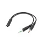 Cabo Y Duplicador De Audio Dois P2 M X Um P2 F 16Cm Desktop Cb0497 Dex - 1