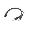 Cabo Y Duplicador De Audio Dois P2 M X Um P2 F 16Cm Desktop Cb0497 Dex - 1