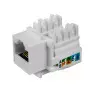 Conector Rj45 Femea Keystone Cat5E Branco Pier - 1