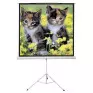 Tela De Projecao Com Tripe 100" 1,80 X 1,80Cm Ttqs-100 Sumay - 1